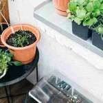 Continuous crop rotation in compact gardens