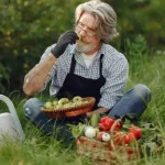 Harvest tips for deciding what to pick first when several garden crops are ready at once