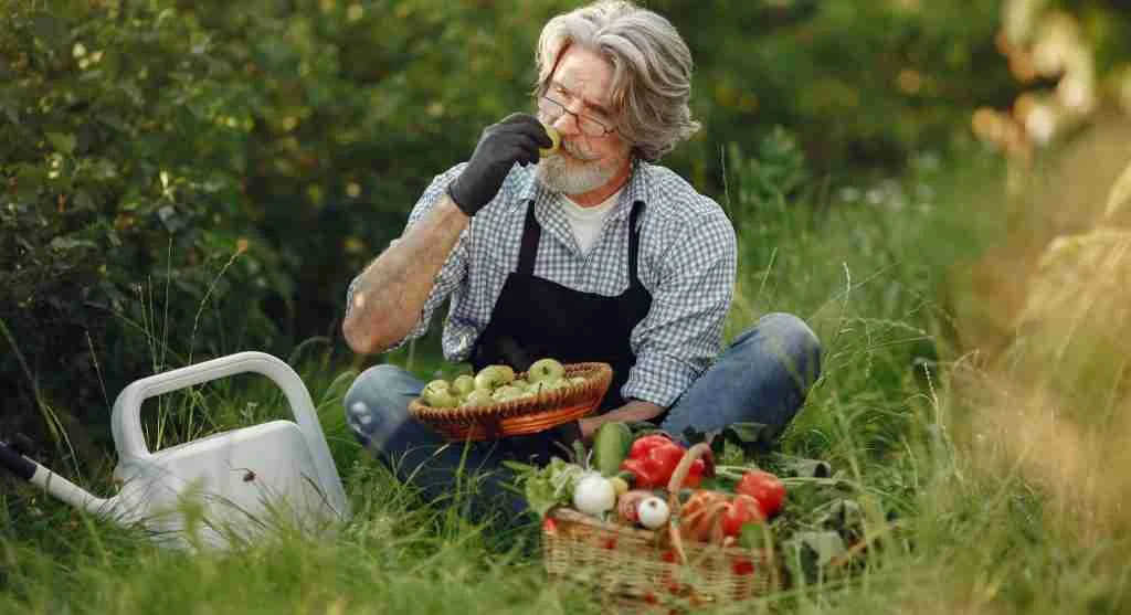 Harvest tips for deciding what to pick first when several garden crops are ready at once