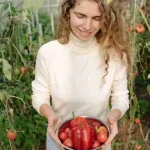 Harvest tips for removing mature produce to create more room for new growth in a backyard garden