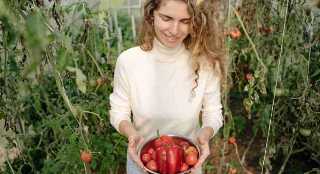 Harvest tips for removing mature produce to create more room for new growth in a backyard garden