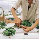Water saving tips for adjusting garden watering after a large harvest changes bed exposure