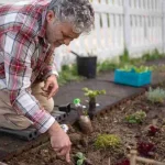 Planting tips for adding a second row beside an established garden row without causing crowding
