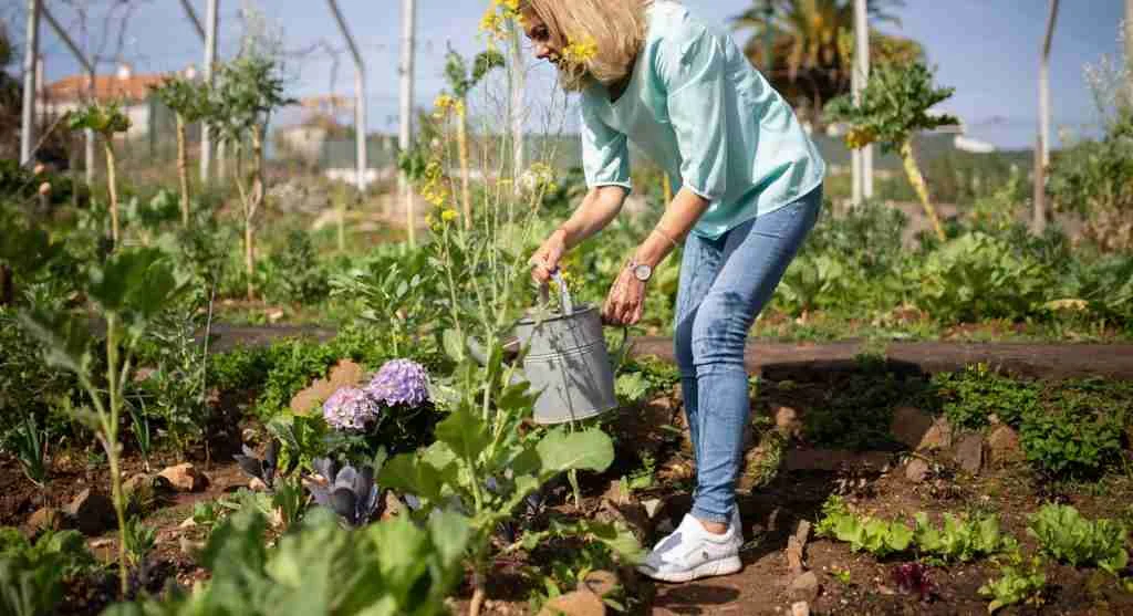 Garden tips for changing care when a bed is slowing instead of repeating the same routine harder
