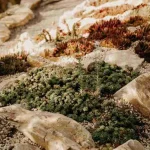 Water saving tips for spotting a fast-drying section within one backyard garden bed