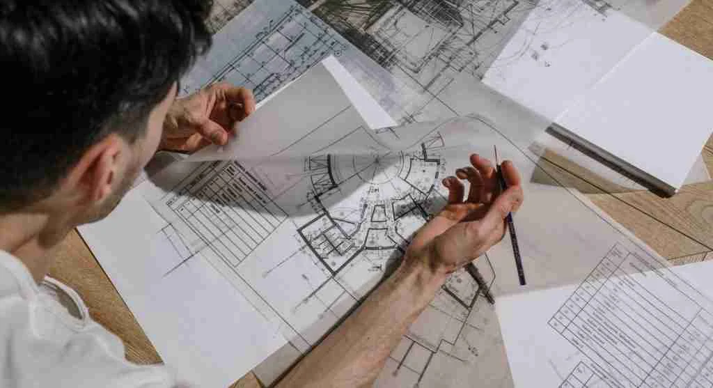 Harvest tips for using kitchen plans to decide the best garden picking order